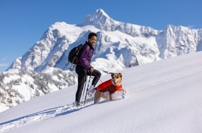 A woman snowshoes uphill with her dog beside her. 