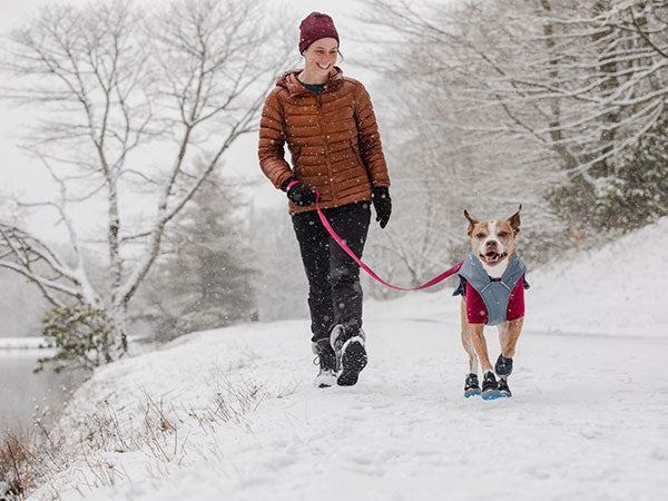 Woman walks her dog in the snow, dog is wearing a climate changer fleece layered under overcoat dog utility jacket and polar trex boots.