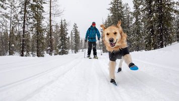 About: The Polar Trex™ Boots Video Thumbnail