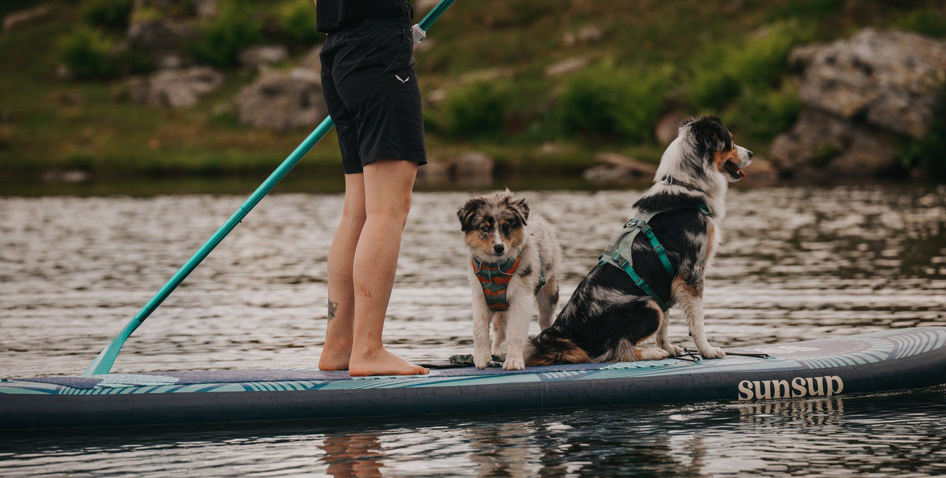 Introducing Our 2025 Ambassadors