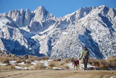 A woman and her two dogs walk in the mountains. 