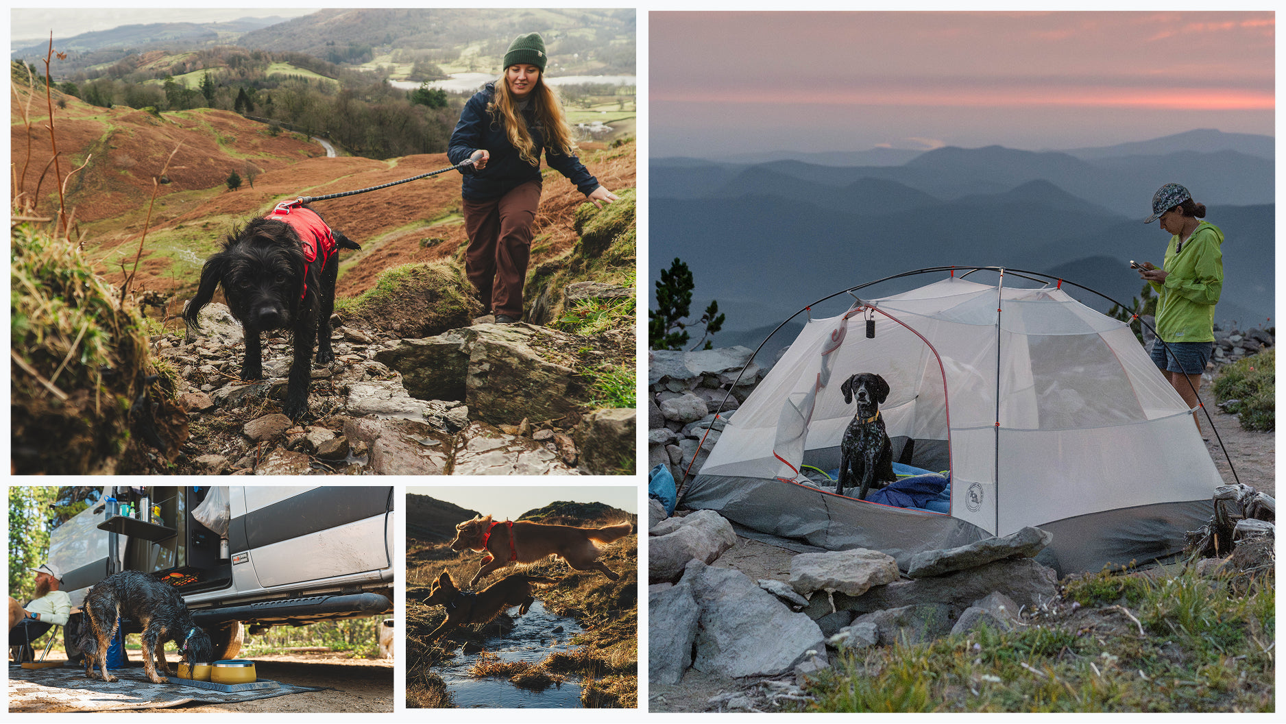 photo collage of dog and their humans camping.