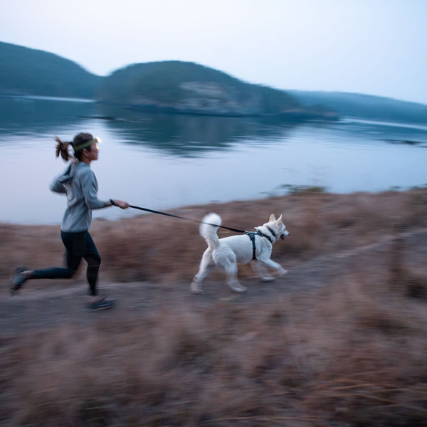 A woman runs at dusk with her husky.