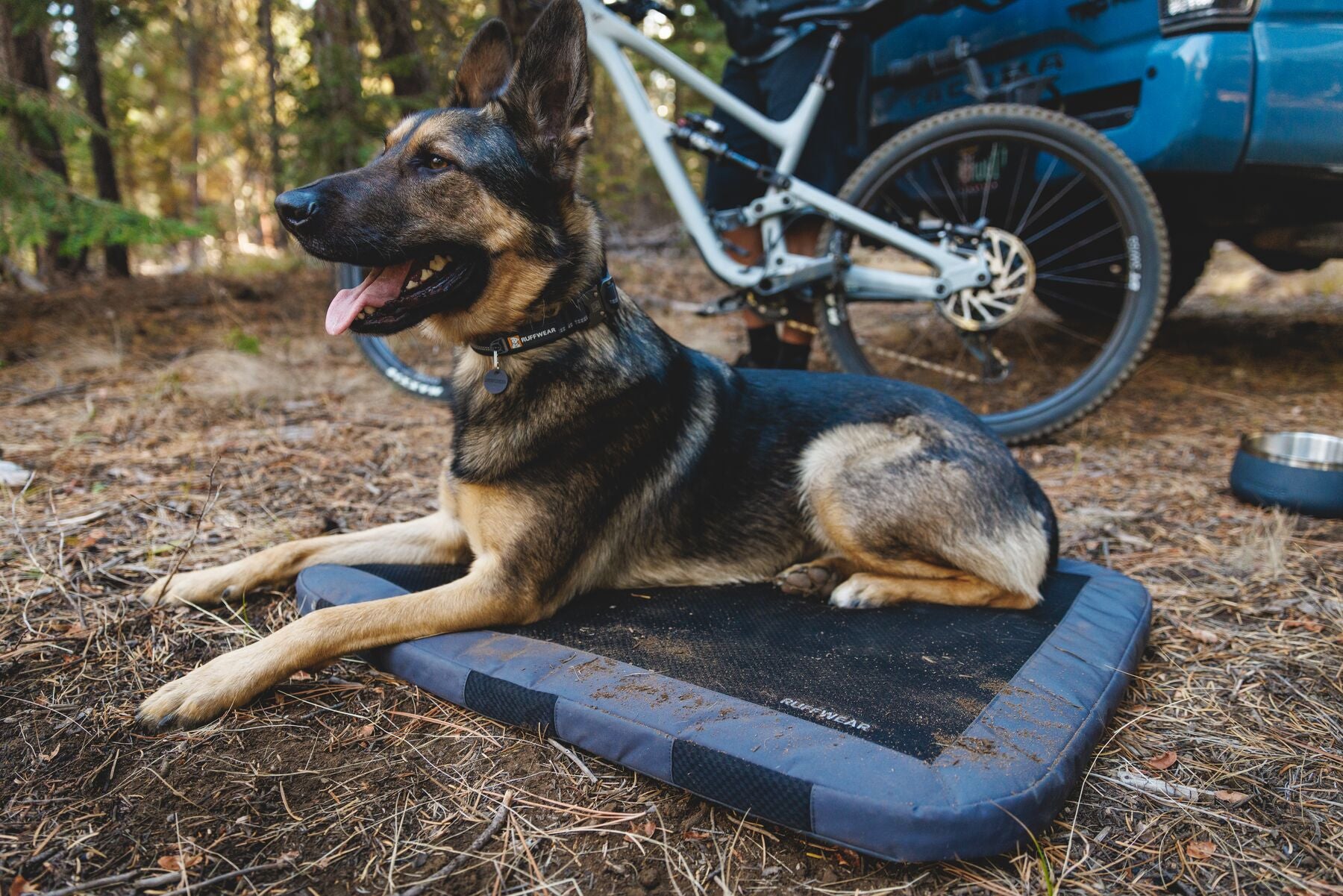 A dog lounges on their Base Camp™ Bed while their human sets up camp.