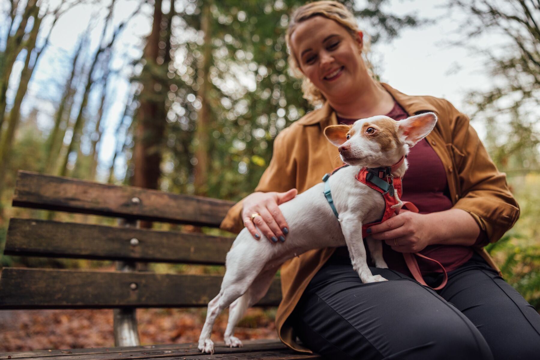A woman sitting on a bench holding a small dog.