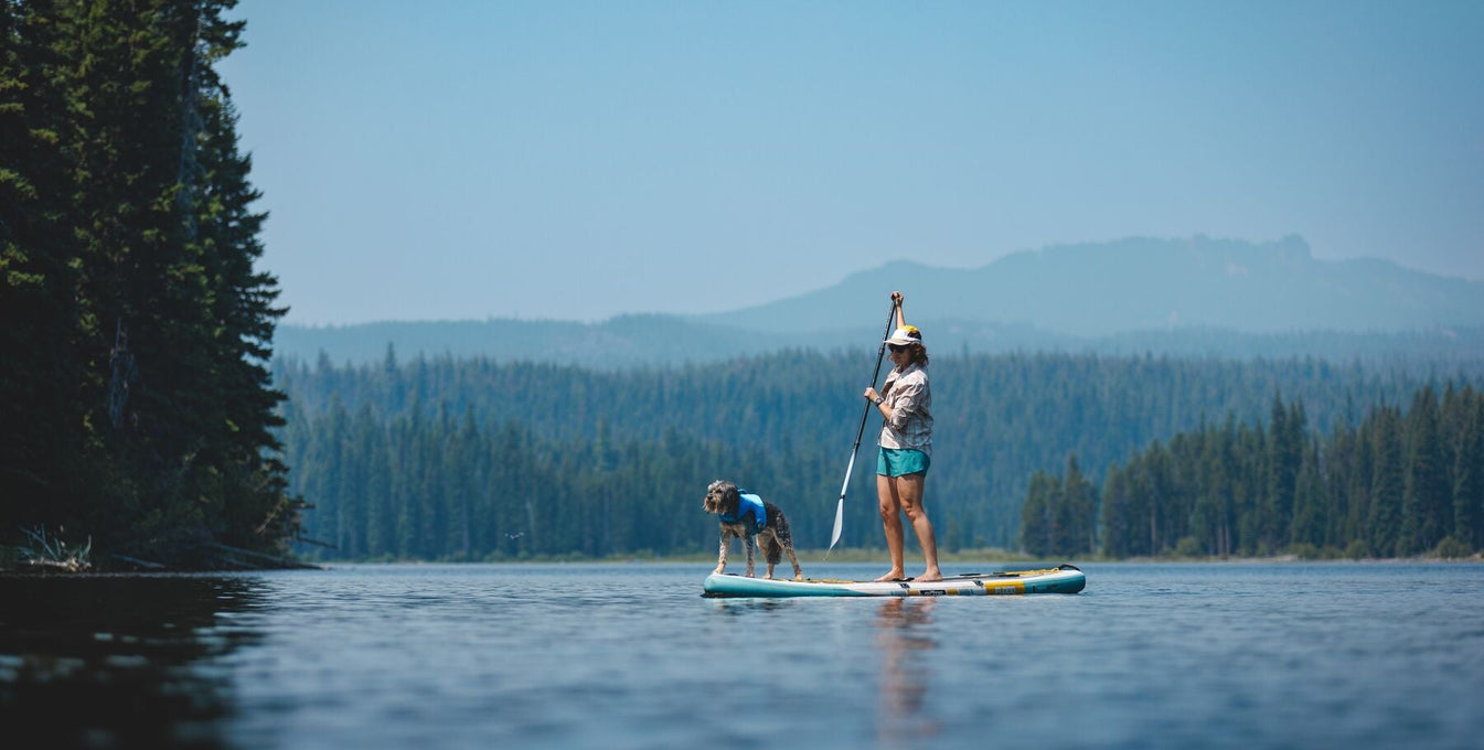 SUP Pup 101: How to Paddleboard with Your Dog