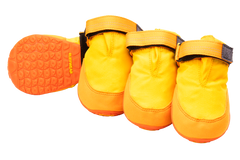 Sunrise Yellow