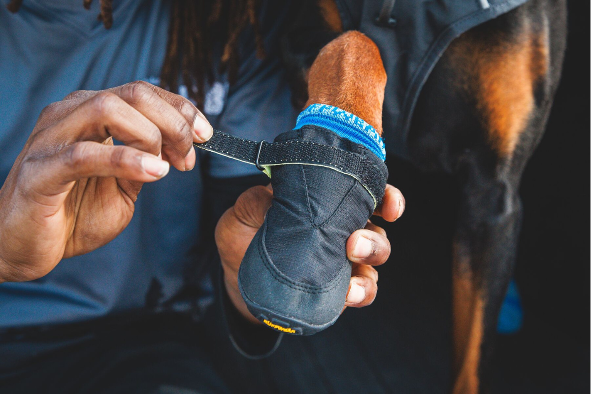 Human putting the Summit Trex™ Dog Shoes on their dog.