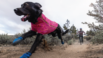 About: Hi & Light™ Trail Shoes Video Thumbnail