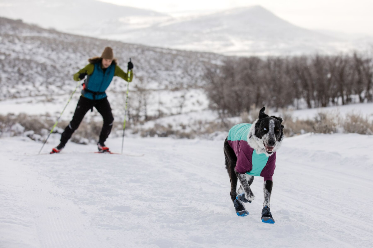 Man skiing with his dog.
