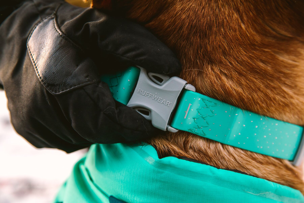 Close-up image of the Confluence™ Collar.